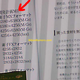 Illustration for article titled Nikon 41-Megapixel MX Format Sensor for Digital Rangefinder?